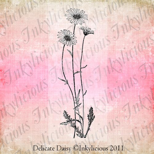 Delicate Daisy Stamp