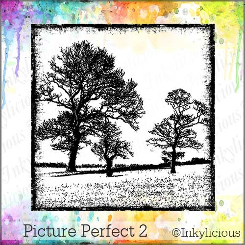 Picture Perfect 2 Stamp