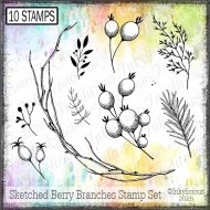 Sketched Berry Branches Stamp Set