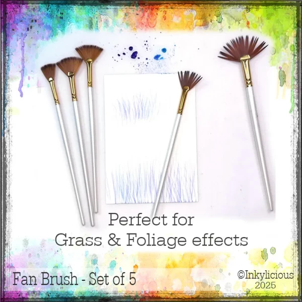 Fan Brush Pack of 5
