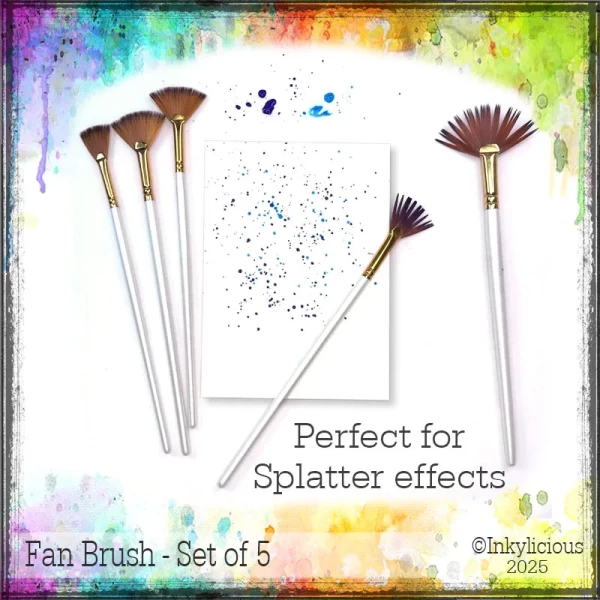 Fan Brush Pack of 5