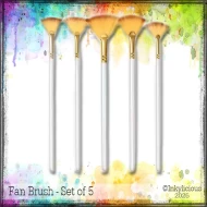 Fan Brush Pack of 5