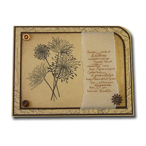 Allium Stamp Set SM