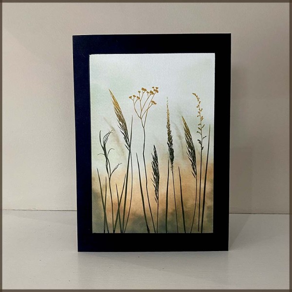 Tall Field Grasses Stamp Set