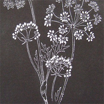 White Signo Uni Ball Pen